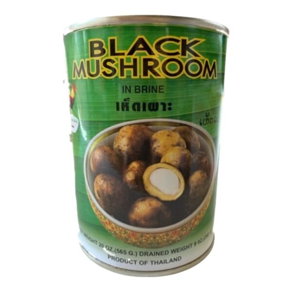 KAI -BLACK MUSHROOM