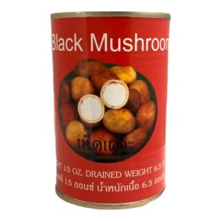SINGING BRID -BLACK MUSHROOM