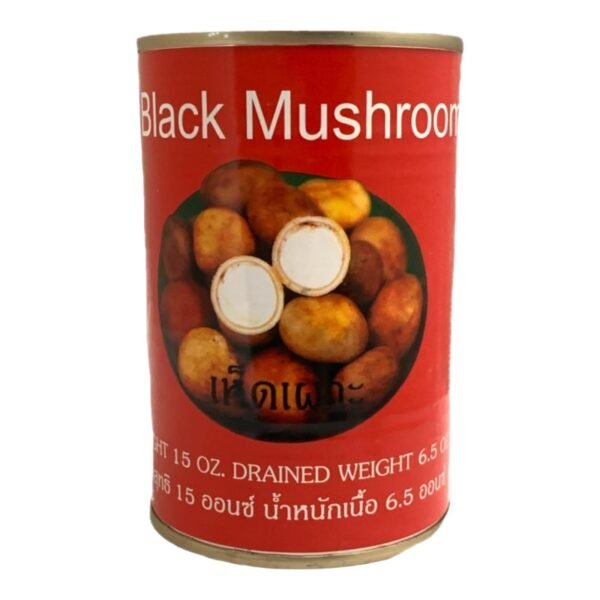 SINGING BRID -BLACK MUSHROOM