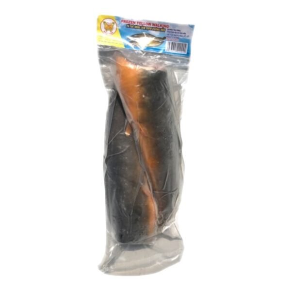 FC -FZ YELLOW WALKING FISH (CATRE) (H/L)