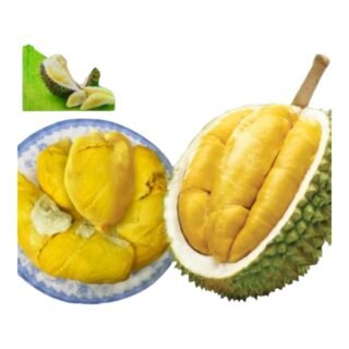 FZ -DURIAN MUSANG KING MALAYSIA(WHOLE)