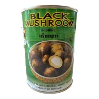 KAI  -BLACK MUSHROOM