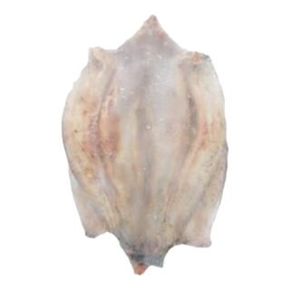 D.D  -FZ DRIED FILLET MUD FISH