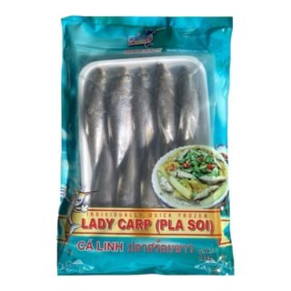 FC  -FZ FISH LADY CARP (PLA SOI)