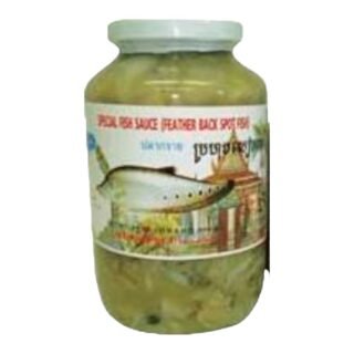 NP  -FEATHER FISH (L)